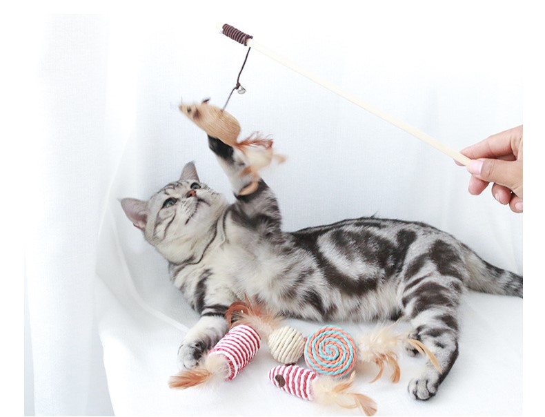 Cat Teaser Playing Cat Toys Interactive Set Wooden Gift Box 7pcs Cat Teaser Wand for Cats
