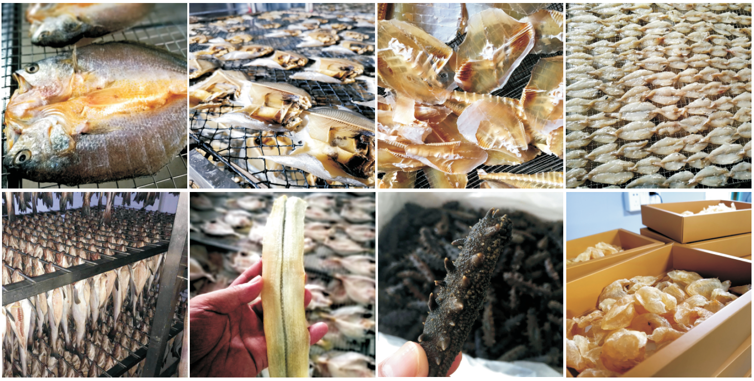 Low-Temperature Dehumidifying Heat Pump Dehumidifier with 15-30°C Adjustable Temperature and 5-99% RH Adjustable Humidity for Fruit Drying Machine