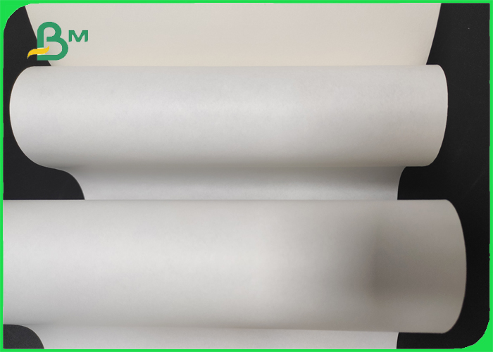 thermal paper roll