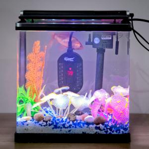 Quality Betta Turtle 10 Gallon Hygger Aquarium Heater for sale