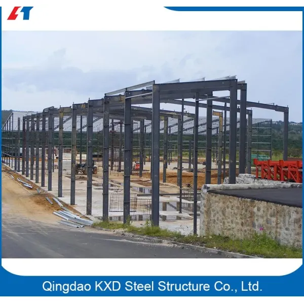 Steel Structure Prefabricated Metal Hangar/Shed