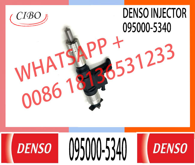 095000-5220 095000-5221 095000-5222 095000-5223 095000-5224 095000-5225 095000-5226 diesel fuel Injector For HINO E13C