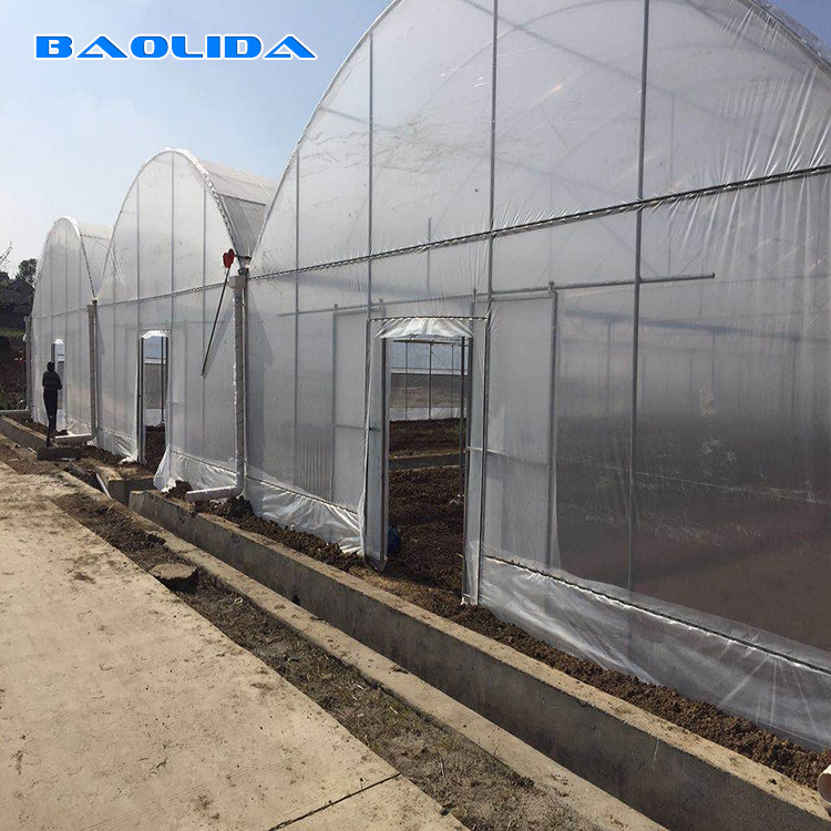 Multi Span Agricultural / Commercial Hydrophonic Greenhouse Easily Installed