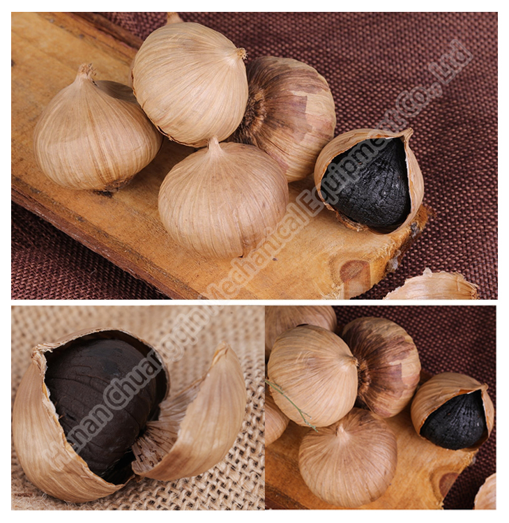 Black Garlic Machinery Black Garlic Fermenter Machines Stainless Steel Black Garlic Fermenter