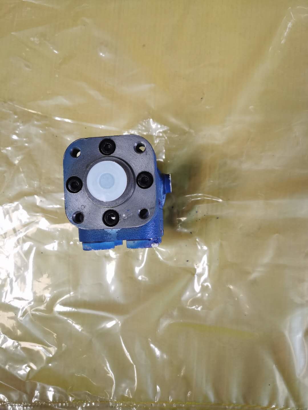 BZZ5-E125B BZZ series for forklift gear pump roration pump factory produce blue colour