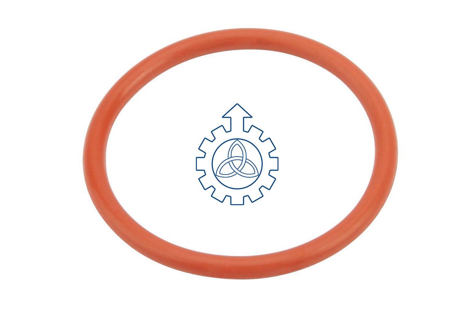 O-ring 5003065203