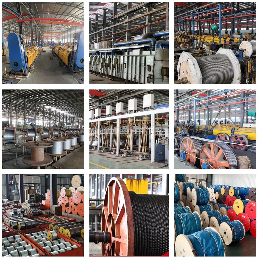 Non-Alloy Copper Coated Wire Rope Brass Plated Steel Wire Rope 1*7 1.0mm Tolerance Other