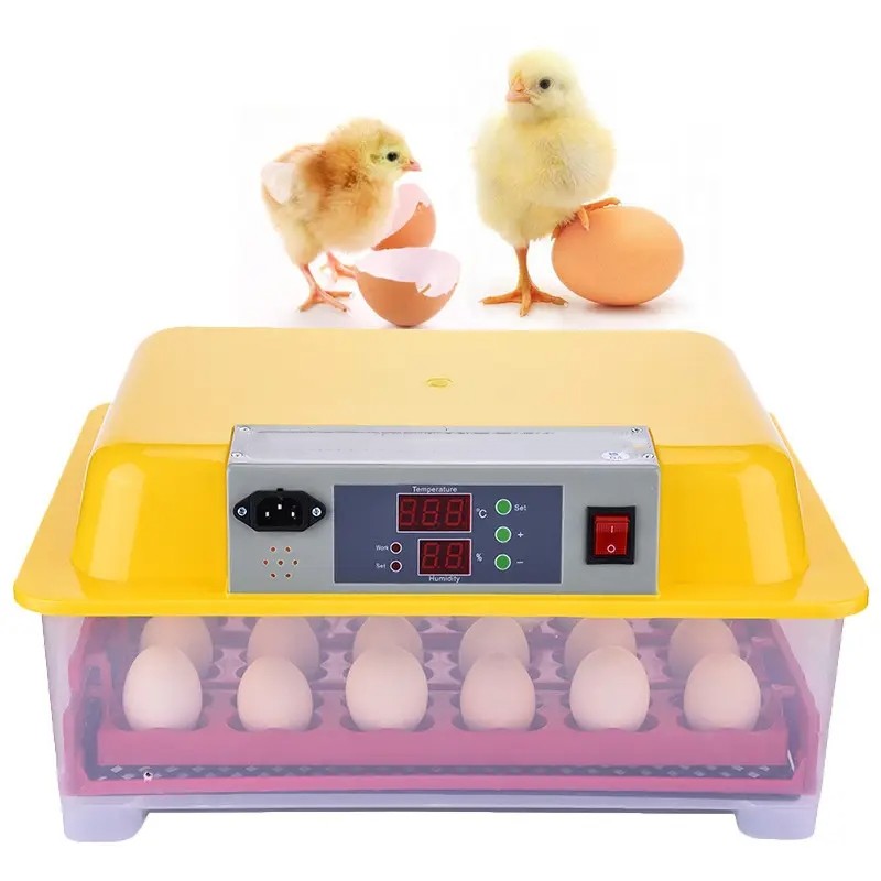 Equipped 24 Mini Turntable Automatic Incubators For Chicken And Bird Egg Care