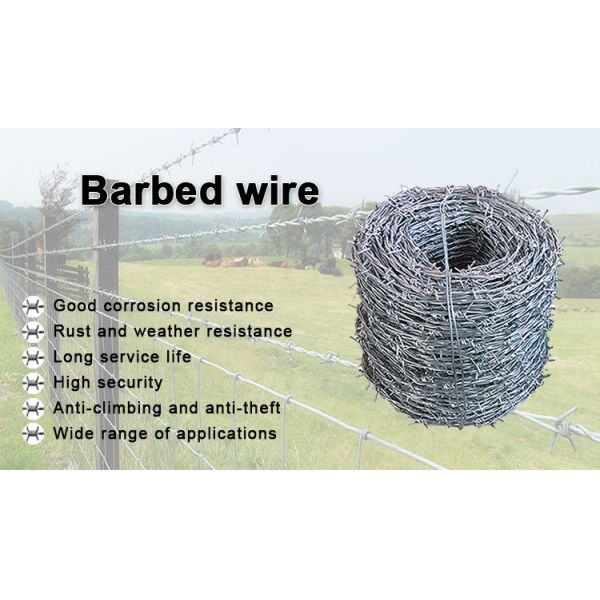 High-Quality Galvanized Barbed Wire Security Fence 500 Meters Barbed Wire Prices