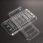 Takeaway Plastic Food Tray Rectangular Biodegradable Disposable Tray Customized