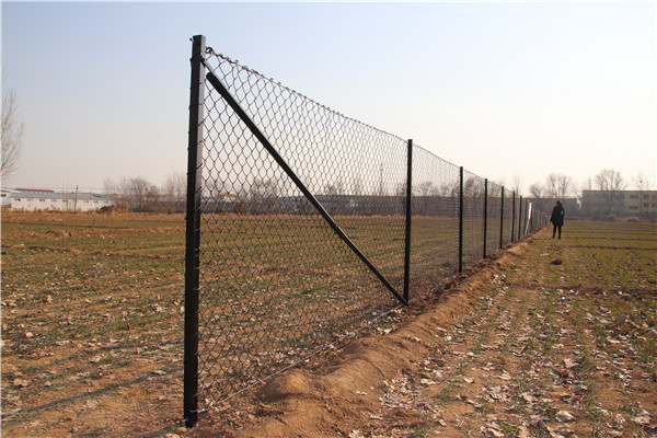2.1mx10mx50x50mm galvanized steel 8 foot chain link fence from ". Victoria "