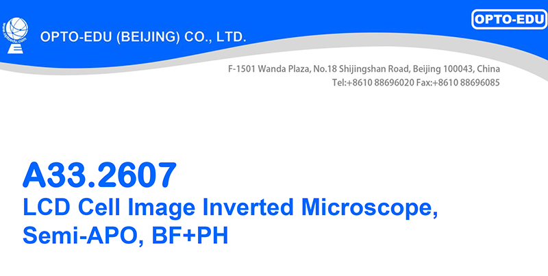 OPTO EDU A33.2607 LCD Cell Image Inverted Microscope Semi APO BF+PH