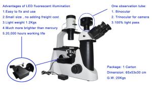 Quality Laboratory inverted phase contrast microscope with fluorescent for sale