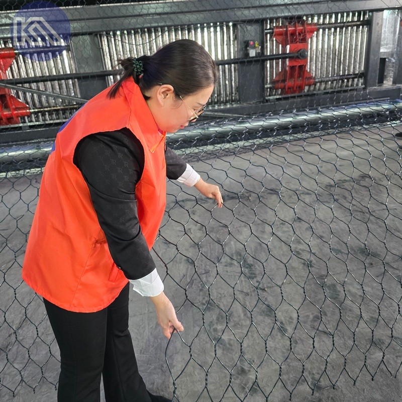 Custom-Sized Galvanized Gabion Mesh Anti Corrosion Stone Cage Netting For Construction