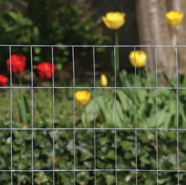 Low Carbon Iron Grey Welded Wire Mesh 2 Inch Mesh Size