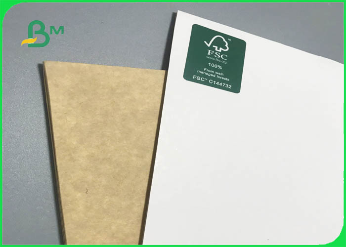 Clay coated kraft back 