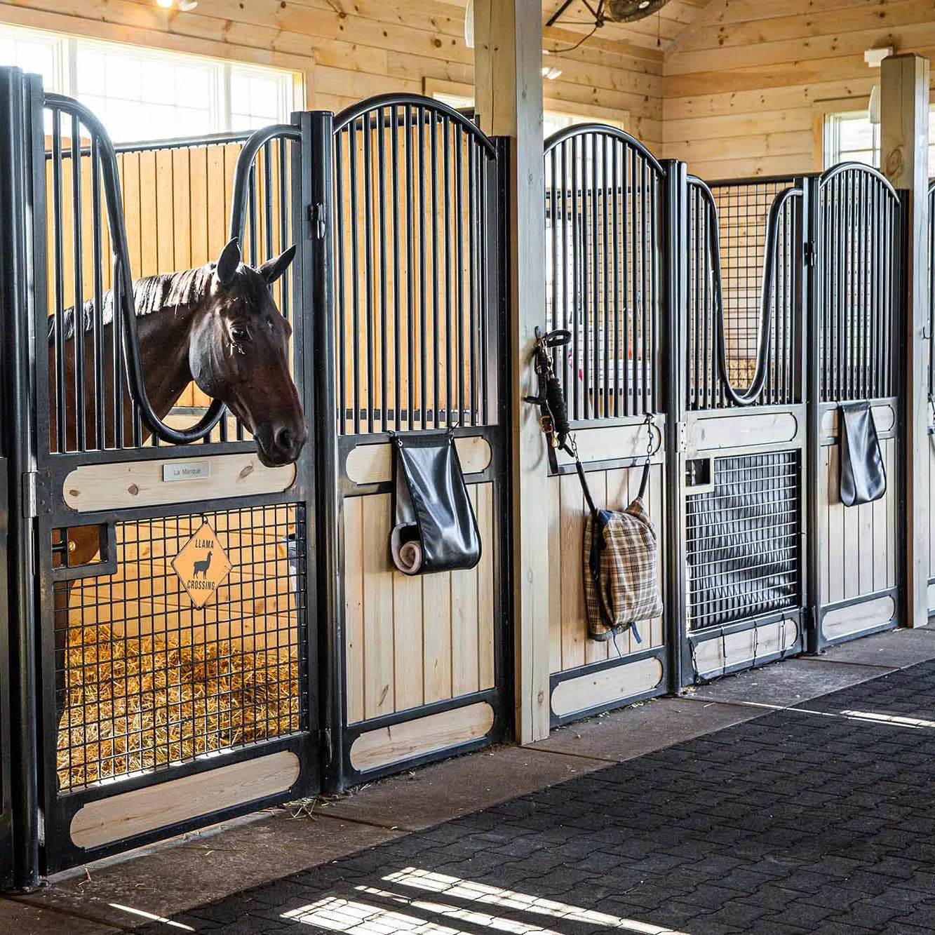 Red Horse Stable Rubber Flooring Customized Interlocking Rubber Stall Mats 200*160mm