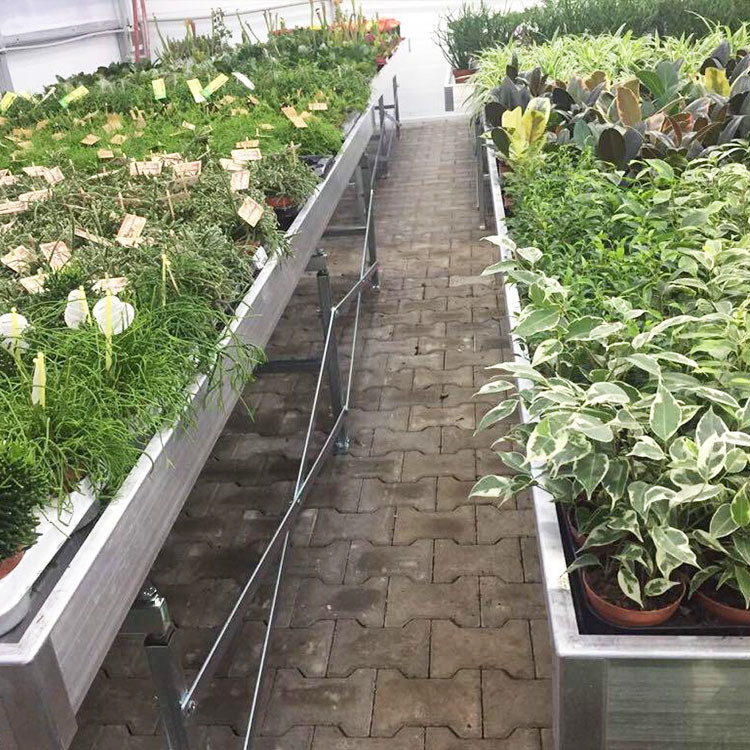 Silver Custom Greenhouse Benches Movable Seedling Bed Rolling Breeding