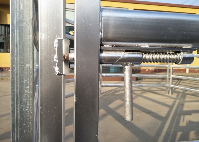 Australia Standard Steel Cattle Fence , Galvanized Horse Fence Panels With 5 / 6 Rail