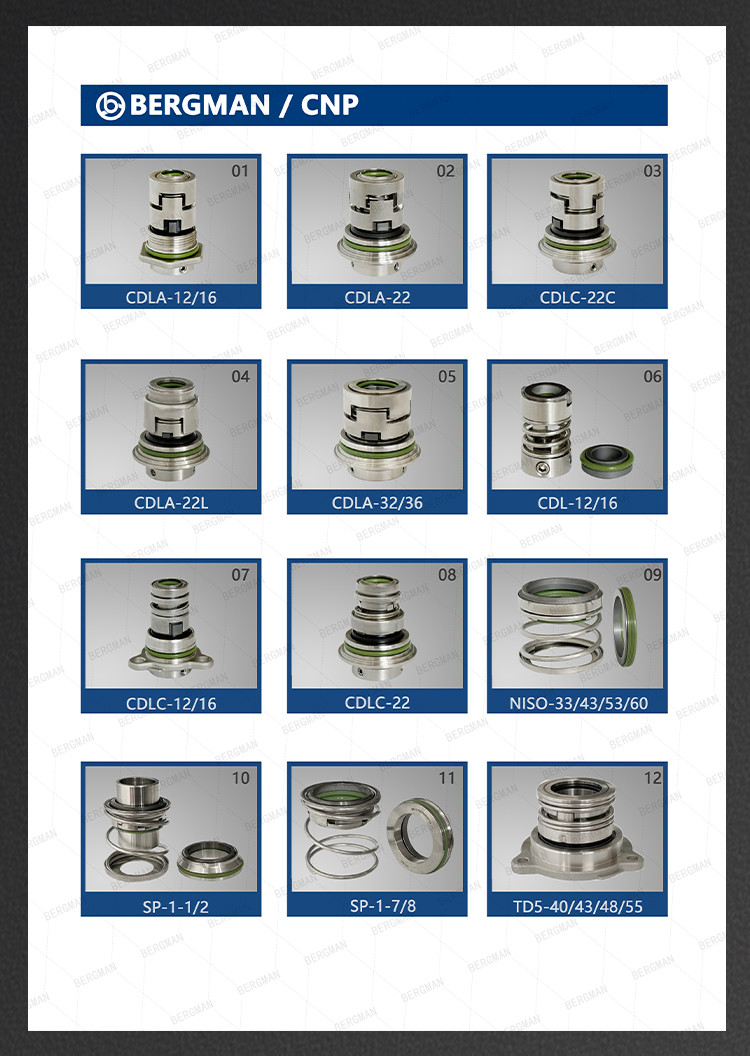 Original 169-30/35/40/45/50mm Corrosion Resistant Chemicals Pump Mechanical Seal