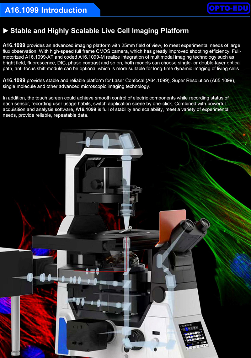 OPTO EDU A16.1099 Full Auto Semi-APO Inverted Fluorescent Microscope