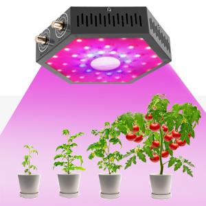 Quality 1000W Led grow lights full spectrum plant growing lamp switch full spectrum for sale