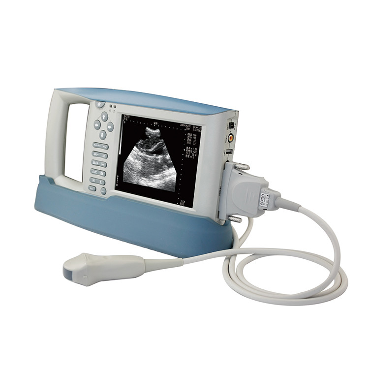 B Mode Medical Ultrasound Machine Diagnostic KX5100 VET Veterinary Instruments
