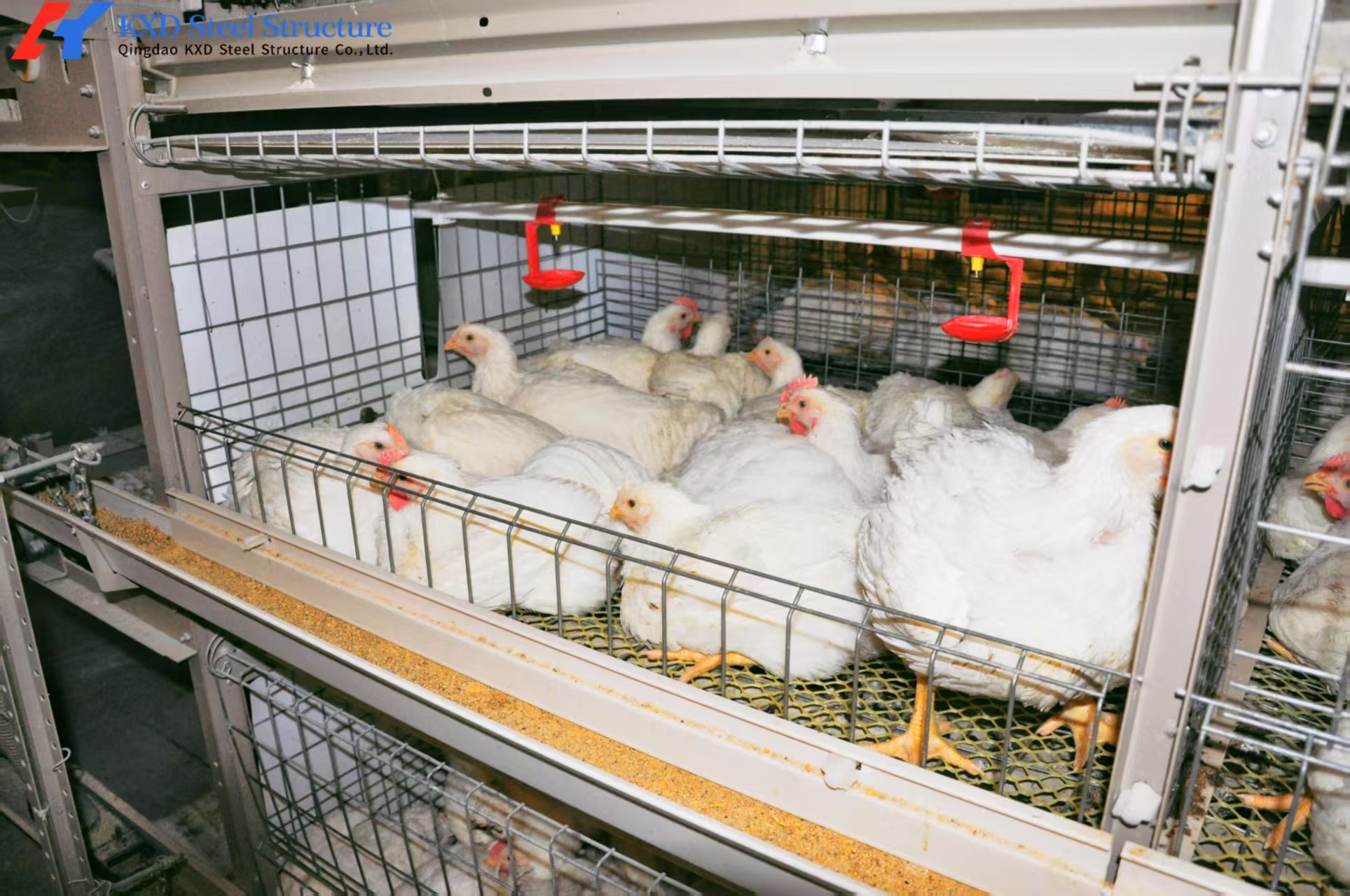Broiler Cages for 1000 Birds Broiler Chicken Cage Poultry Transport Coop