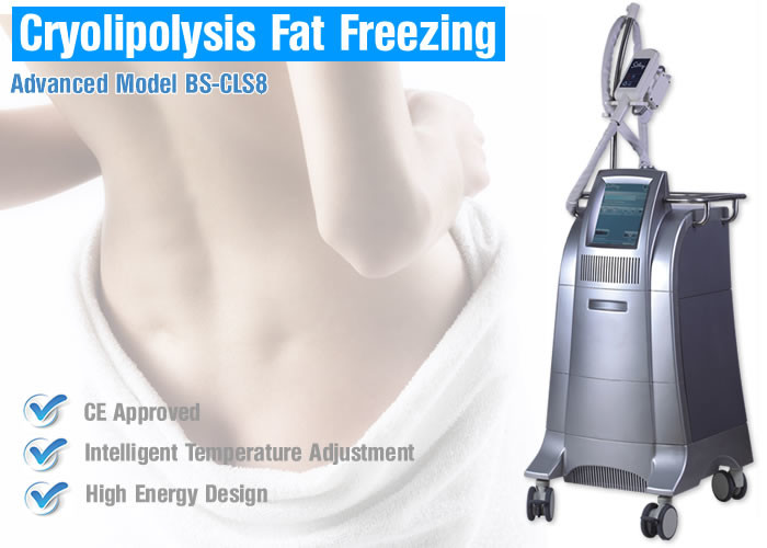 CoolSculpting Cryolipolysis Body Slimming Machine / Fat Reduction Equipment Painless