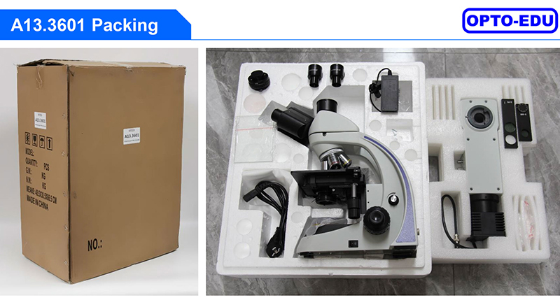 OPTO EDU A13.3601 Binocular Metallurgical Microscope Transmit And Reflect Light