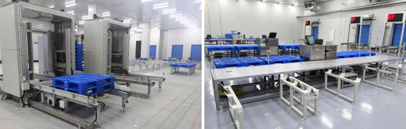 Cold Storage Warehouse ASRS