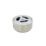 304/316 CF8 Stainless Steel Pn1.6MPa Sealing Form Lift Check Valve with Gland