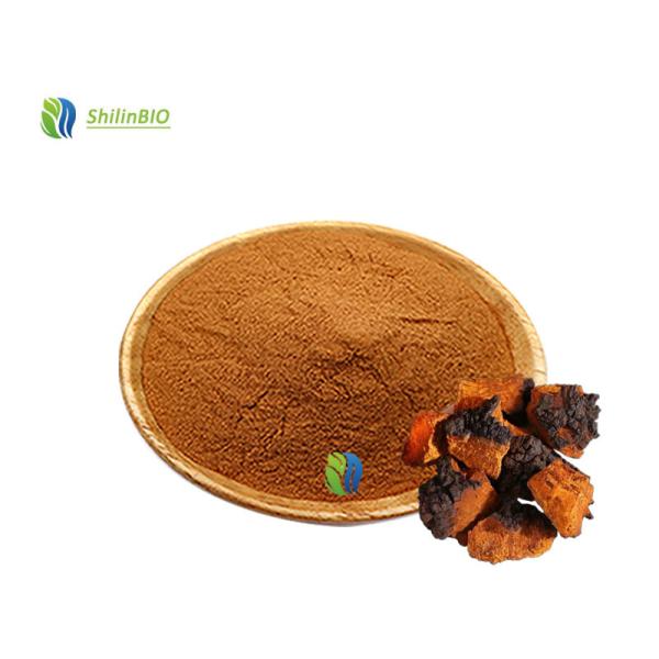 Chaga Mushroom Extract 30-45% Polysaccharides