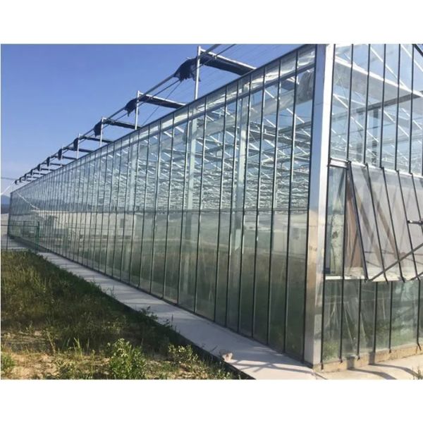 Tempered glass covering for premium greenhouse structures