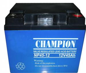 Quality Champion12V45AH AGM battery Champion 12V45AH Lead Acid Battery UPS battery VRLA Battery for sale