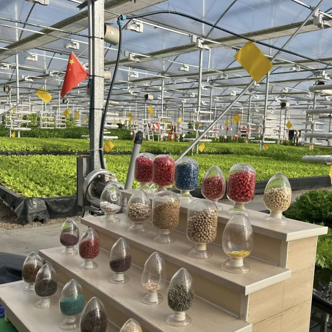 High-Quality Multi-Span Greenhouse for Hydroponics Growing