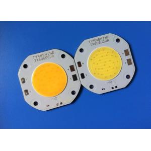 COB White LED Array