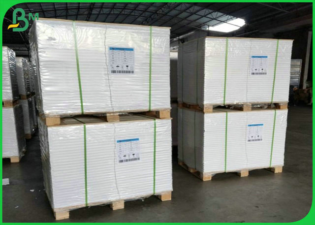 100gsm White Color Kraft Paper Roll PE Coated With Greaseproof