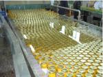 Pasteurization Ketchup Processing Line SUS304 380V 50HZ 5T/Hr Capacity