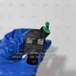 DELPHI Common Rail Injection System 28342997 28348371 A6510700587 A6510704987