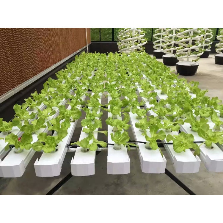 Zipgrow Hydroponic Indoor Garden Plant Hydroponic System With LED Light