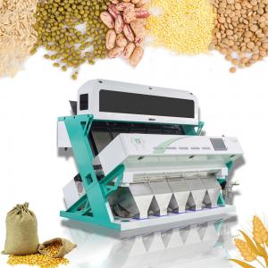 China CCD Automatic Rice Color Sorter For Black Yellow Rice Oat Lentil on sale