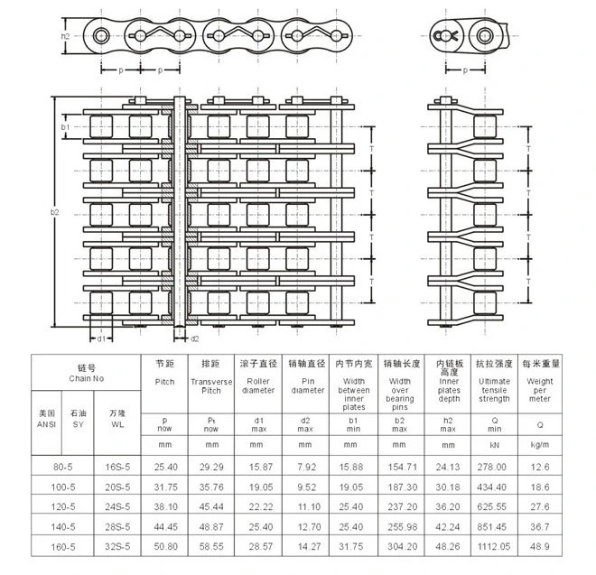 High Quality Roller Chains API Approved Multiple Strands Oil Field Chain for Petroleum Equipment