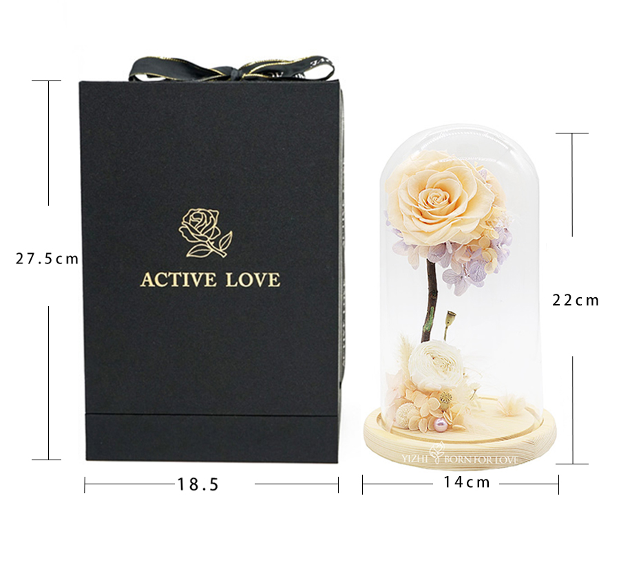 Home Decor Colorful Preserved Rose In A Glass Dome 7cm-8cm