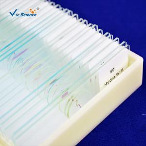 Students Set 25.4mm X 75.2mm Prepared Microscope Slides