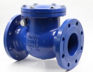 Quality API CE Factory Hot Sale Swing Lift Flange Steel Check Valve For Water Oil Gas for sale