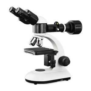 Buy cheap Economic Optical Light Microscope , Monocular Compound Light Microscopy from wholesalers