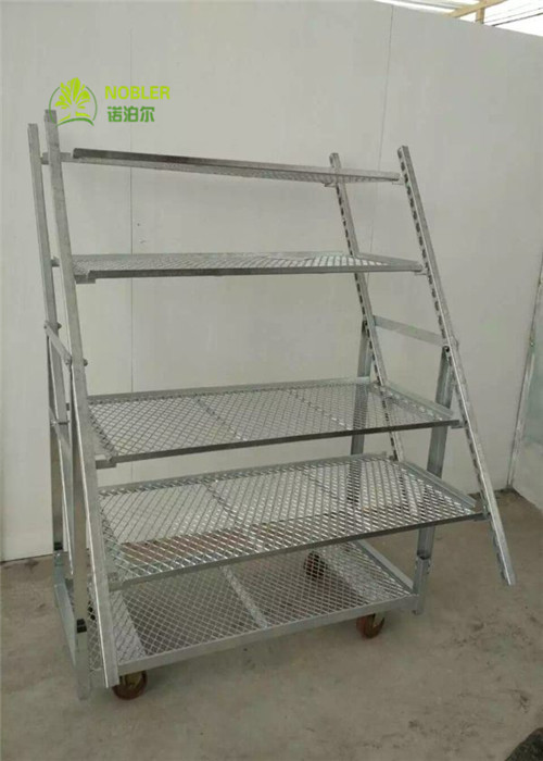 Danish Container 1350mm Standard Flower Trolley Folded And Installed For Quick Turnover
