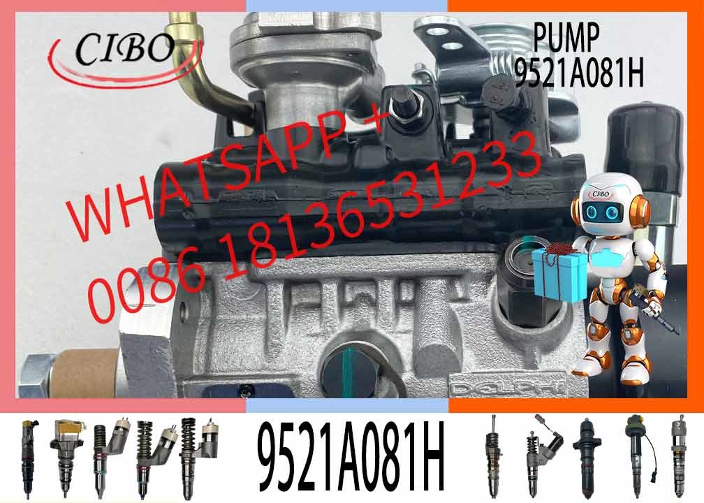 Diesel Fuel Injector Pump 9521A080H 9521A081H For Engine 6 Cylinder 4493641