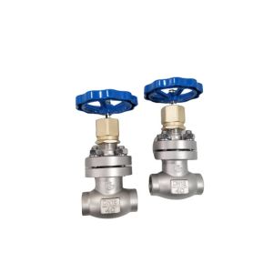 Quality Cryogenic Globe DN15 Socket Weld Globe Valve Temperature -80C for sale